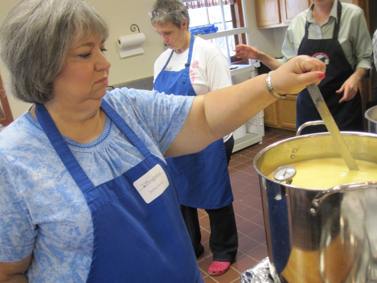 Making cheddar cheese