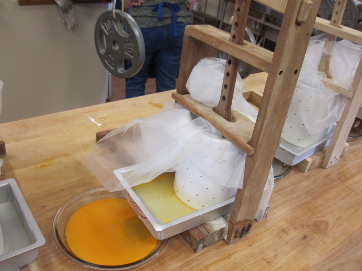 Pressing the cheddar curds