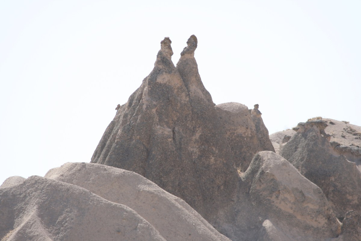 Two men riding a camel